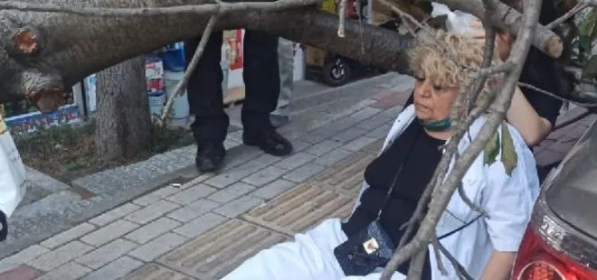 Bakırköy’de üzerine ağaç devrilen kadın yaralandı