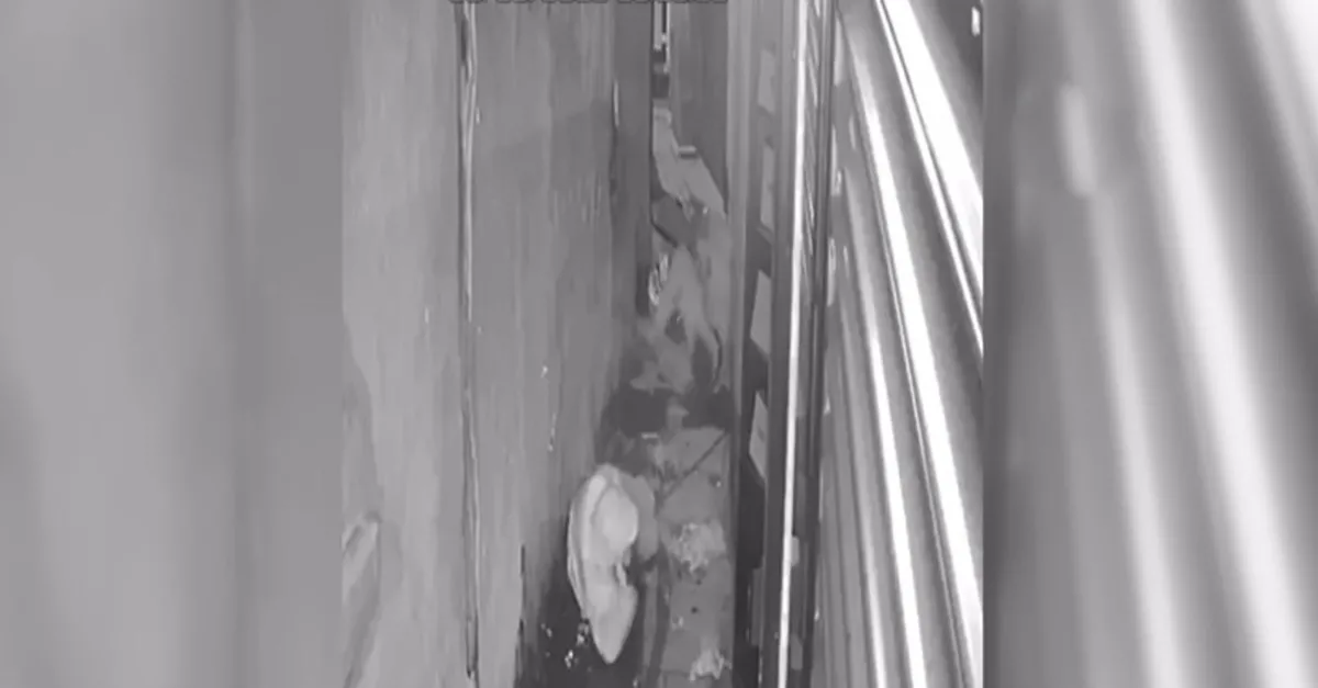 Son dakika: İstanbul Kapalıçarşı'daki soyguncuların yeni görüntüleri ortaya çıktı | Video