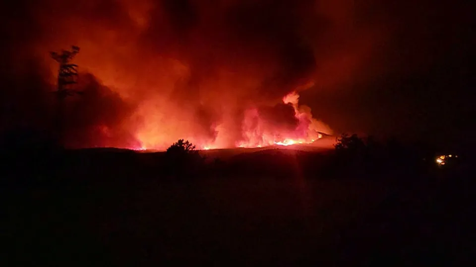 Ankara'da korkutan orman yangını!