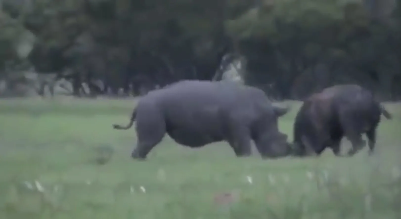 Интересный факт