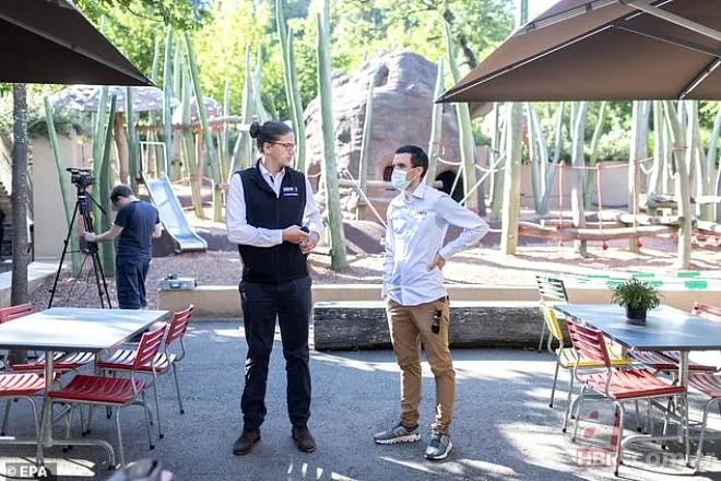 Şehirde maymun istilası! Birbirlerine saldırdılar 11