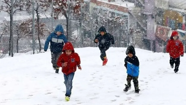 Trabzon ve Rize'de yarın okullar tatil mi? 17 Ocak Trabzon ve Rize'de okullar tatil olacak mı? MEB ve Valilik açıklamaları... - 4