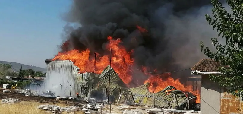 Son dakika: İzmir'de palet fabrikasında yangın