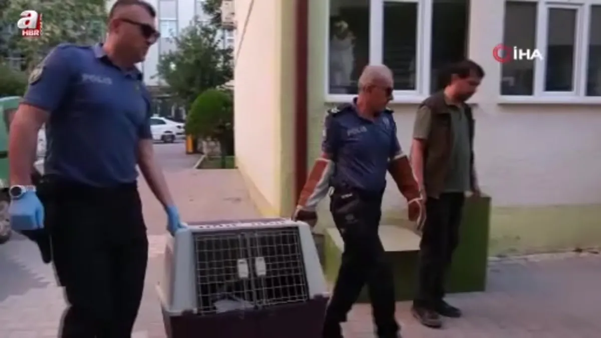 Karaman’da yol kenarında bulunan yaralı leylek koruma altına alındı