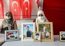 Diyarbakır anneleri: Kahrolsun PKK lanet olsun HDP