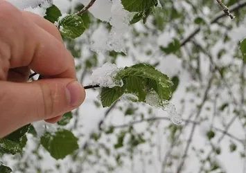 Meteorolojiden zirai don uyarısı