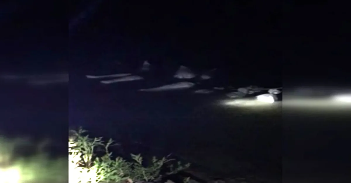 Van'da 15,5 ton kaçak avlanan inci kefali ele geçirildi | Video