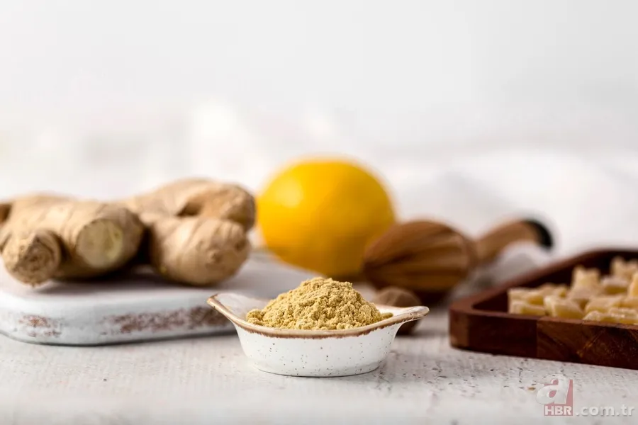 Kış boyunca taze zencefil: Saksıda zencefil yetiştirmenin sırları 5