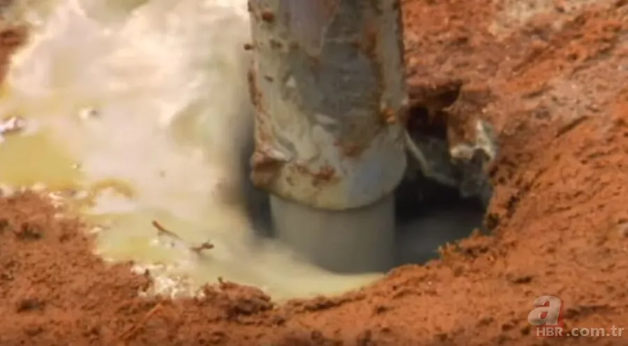 Karınca yuvasından sanat eseri çıktı 🐜 Vahşi doğanın usta mimarları! Otoban, yan yol ve patika bile yapmışlar 5