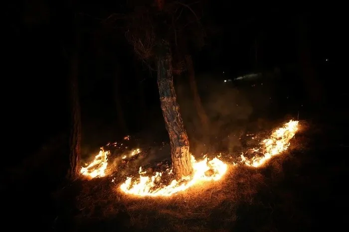 Ciğerlerimiz yanıyor! 3 ilde orman yangını | Çanakkale ve Bursa’da ekiplerin müdahalesi sürüyor | İzmir’deki yangın kontrol altında