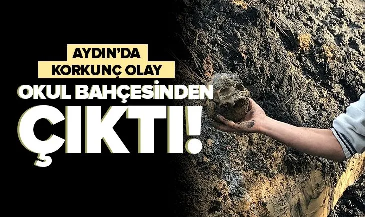 Aydın’da ürküten olay! Okul bahçesinden kafatası ve kemik parçaları çıktı
