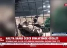 Sedef Güler cinayetinde...