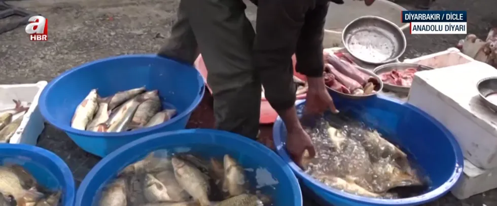 (Foto: ahaber.com.tr)