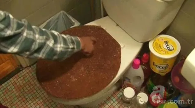 yilan adasi ni andiriyor burasi brezilya degil turkiye de bir il