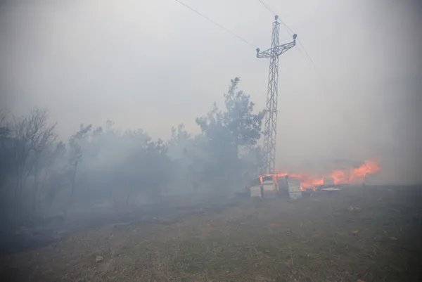 Son dakika | Bursa'da korkutan orman yangını! - 2
