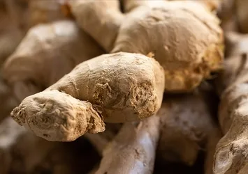 Sonbaharda hastalıklara kalkan olan 8 besin!