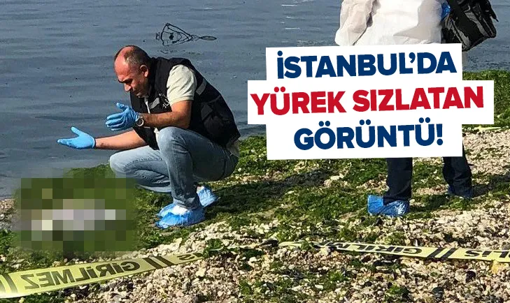 Muhtar sonuçları 2019 Muhtar sonuçları 2019