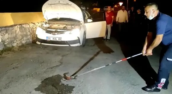 1623849909993.jpg Oluklu kertenkele paniğe neden oldu! - 1