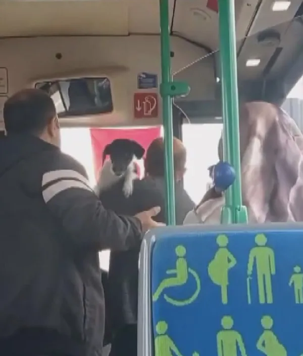 İstanbul'daki toplu taşımalarda yeni sorun! Köpekle otobüse binmeye çalışınca ortalık karıştı - 2