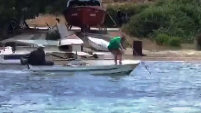 Bodrum'da camgöz köpek balığı 2 kişi tarafından işkence edilerek öldürüldü - 1