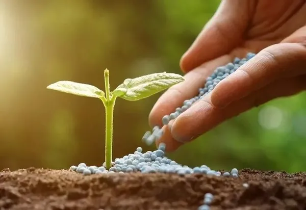 Karadeniz gazından ekonomiye 2 milyar dolarlık katkı! Maliyetin yüzde 80'i doğal gazdan - 2