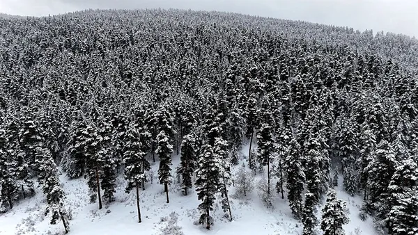 karla-kaplanan-ardahan-erzurum-ve-karsta-soguk-hava-hakim-1710576295889.jpeg Karla kaplanan Ardahan, Erzurum ve Kars'ta soğuk hava hakim - 3