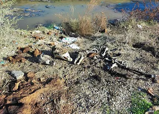 Mide bulandıran görüntü! Her yerde kemik var