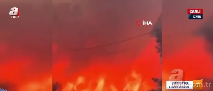 İzmir'de korkutan orman yangını 2. gününde! Bakan Yumaklı'dan güzel haber: Tamamen kontrol altında 12