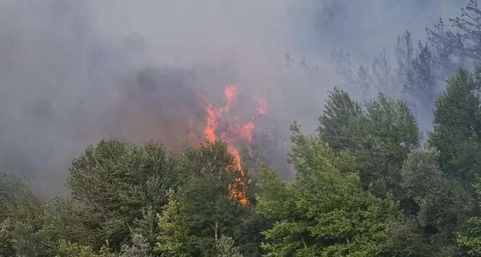 Son dakika: Karabük'te ormanlık alanda yangın - 2