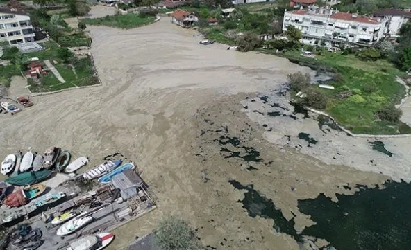 Marmara Denizi'nde salya araştırması! - 4