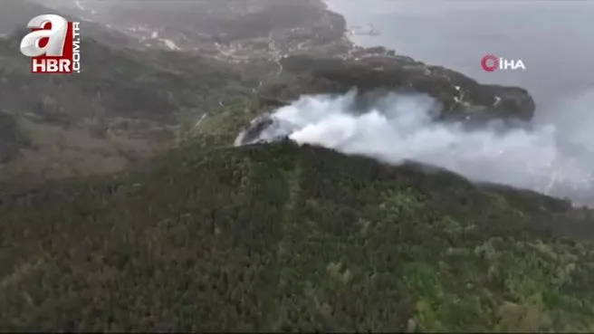 Kastamonu’da orman yangını