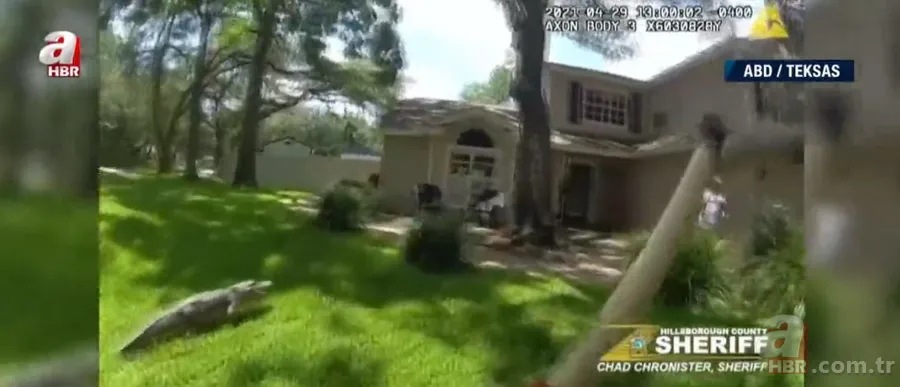 Sürücülerin kabusu oldu! Geceleri ortaya çıkıp yola fırlıyor 13