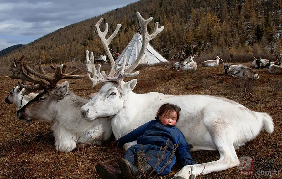 10 bin yıl önceki hayatı yaşayan kayıp Türkler fotoğraflandı! 5