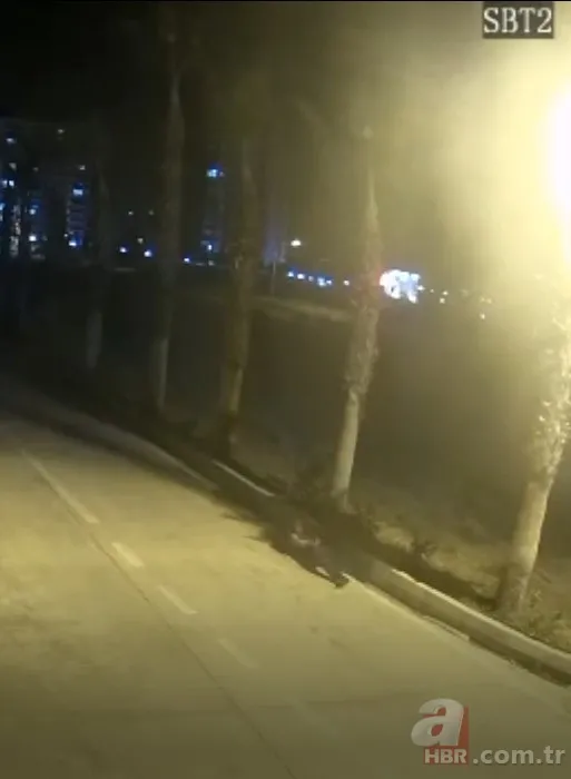 Şehit olmadan teröristi öldürdü: Polis Sedat Gezer PKK'lı hainlerle böyle çatıştı 11