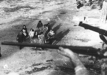 Kanlı Noel katliamının 60’ıncı yılı! Cumhurbaşkanı Yardımcısı Yılmaz Kıbrıs Türkleri için paylaştı: Kardeşlerimizin yanındayız | İşte ‘Kanlı Noel’ katliamının tarihi