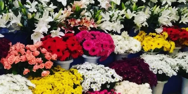 Son dakika: İçişleri Bakanlığından yeni genelge! Sevgililer Günü’nde çiçekçiler açık olacak mı?