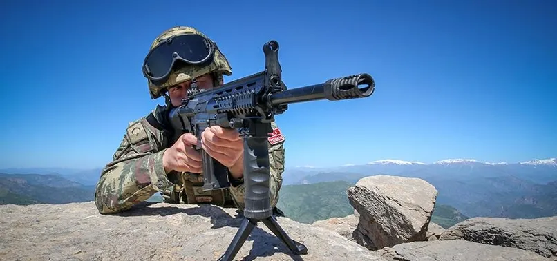 Şırnak'ta 2 PKK'lı terörist etkisiz hale getirildi