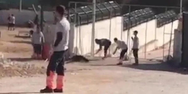 son-dakika-konyadaki-hayvan-rehabilitasyon-merkezinde-kopeklere-yapilan-iskence-hakkinda-flas-gelisme-2-kisi-i-1670924268535.jpg Son dakika: Konya'daki Hayvan Rehabilitasyon Merkezi'nde köpeklere yapılan işkence hakkında flaş gelişme! 2 kişi için hapis istendi - 6