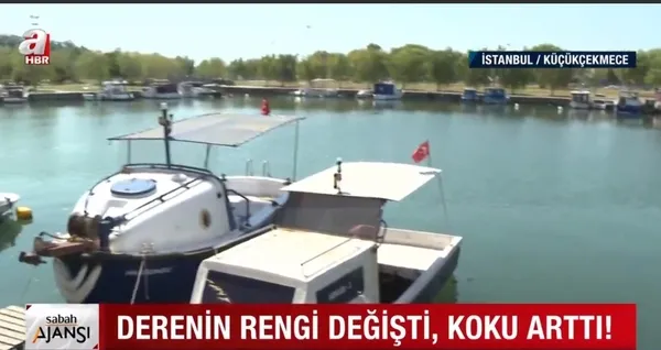 menekse-deresinden-yayilan-kotu-koku-cevre-sakinlerini-isyan-ettirdi-1627631799421.jpg Menekşe Deresi’nden yayılan kötü koku çevre sakinlerini isyan ettirdi! - 6