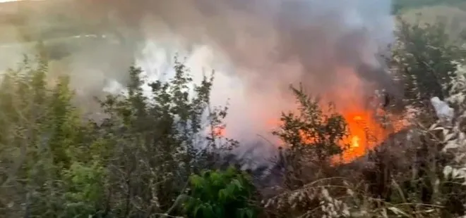 Samsun’da ormanlık alanda çıkan yangın kontrol altına alındı