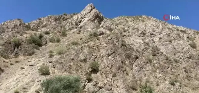 Kaya balının kilosunu 3 bin TL'den satıyor