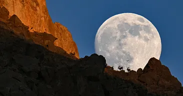 Ender rastlanan anlar! Ortaya çıkan manzara mest etti