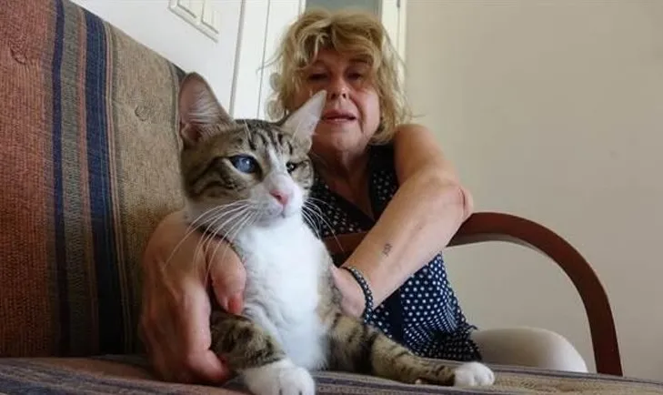 kocaeli de bir kadin kedi besledigi icin evden cikartildi