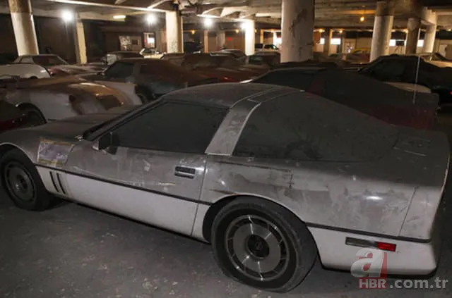 Corvette marka arabalar çürümeye terkedilmiş halde bulundu 🚗 14