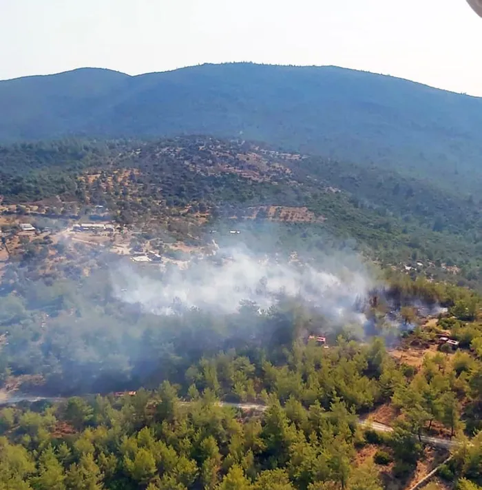 Son dakika: Bodrum’da korkutan orman yangını! 30 dakikada söndürüldü