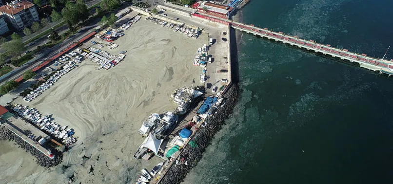 Marmara'yı saran deniz salyasına karşı Çevre ve Şehircilik İl Müdürlüklerine talimat verildi