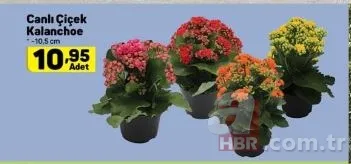 A101 aktüel ürünler kataloğu 6 Haziran beklenen fırsat geldi! A101 1-7 Haziran indirimli ürünler neler? 14