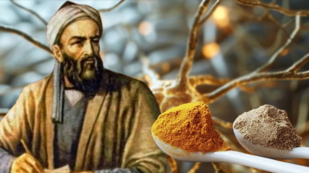 1 tutamı beyni çelik gibi yapıyor... İbn-i Sina 1000 yıl önce önerdi!