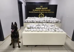 Zehir tacirlerine kıskaç! Limanda kokain, araçta takoz esrar