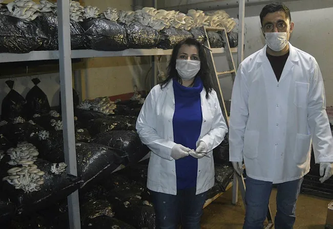 Ağrılı girişimci eşiyle eğitimini alıp mantar üretim tesisi kurdu! Hedef yılda 60 ton ürün elde etmek - 7